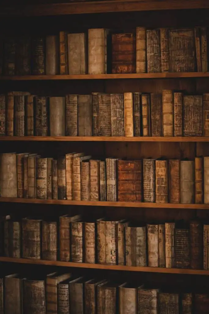 very old books on wood hand built shelves