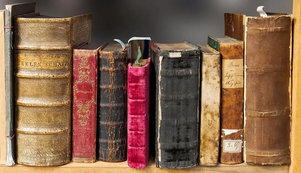 leather books on shelf